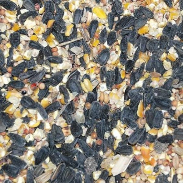 BRAGG'S MIX BIRD SEED