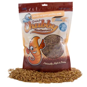 CHUBBY MEALWORMS 2LB