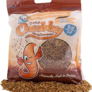 CHUBBY MEALWORMS 5LB