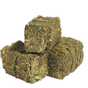 PREMIUM TIMOTHY CUBES 22.68KG