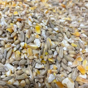 SCRATCH GRAIN