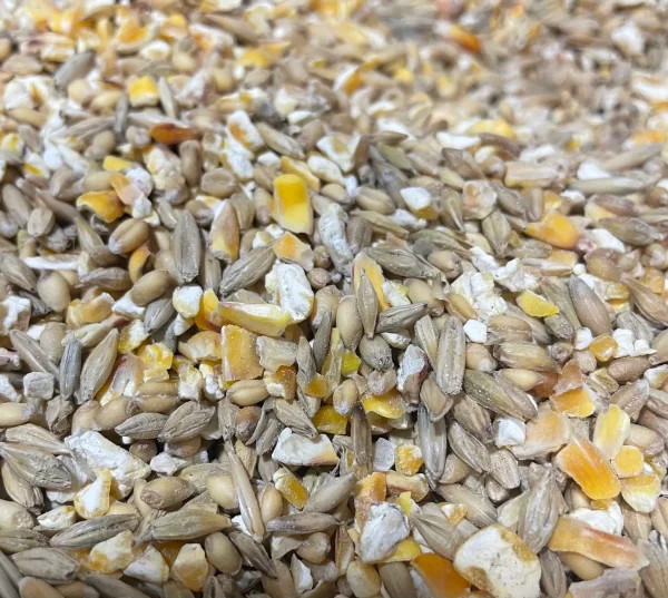 SCRATCH GRAIN