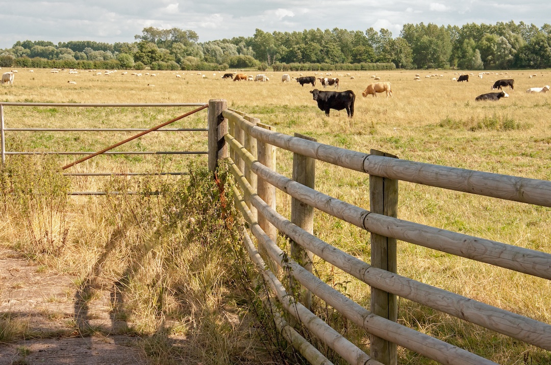Choosing the Right Farm Fence for Your Property