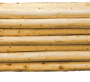 Cedar Fence Posts