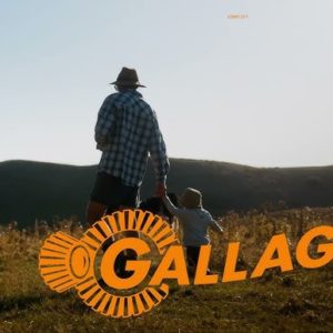 Gallagher Electric Fence Systems