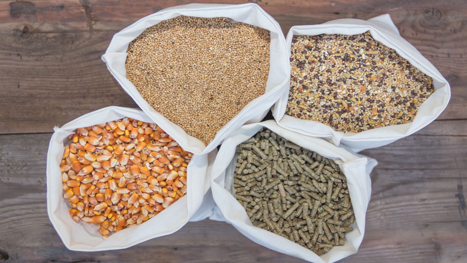 Common Feed Storage Mistakes